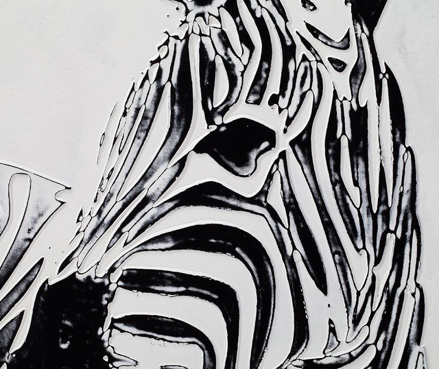 Zebra Kép