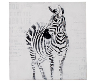 Zebra Kép