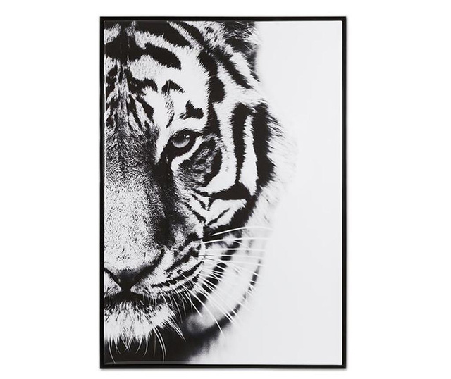 Slika Eye of the Tiger 65x93 cm