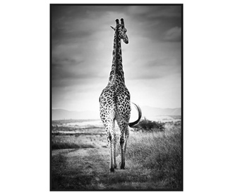 Slika Giraffe 65x92.5 cm