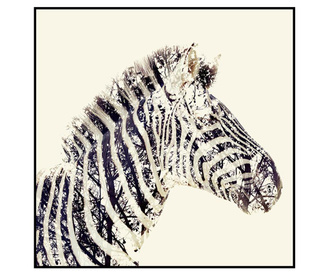 Картина Safari Zebra 80x80 см