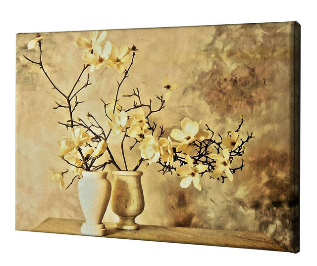 Картина Magnolia Branches by Thea Schrack 40x60 см