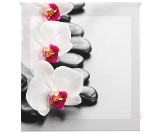 Rolo zavesa Orchid 160x180 cm