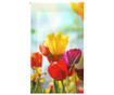 Роло щора Tulips 100x180 см