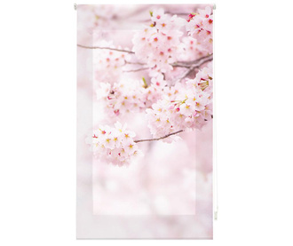 Rolo zastor Cherry Blossom 100x180 cm