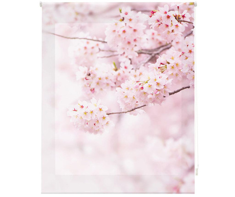 Jaluzea tip rulou Cherry Blossom