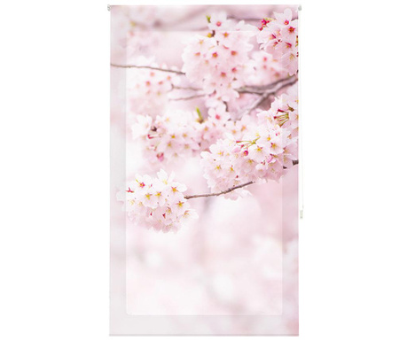 Rolo zavesa Cherry Blossom