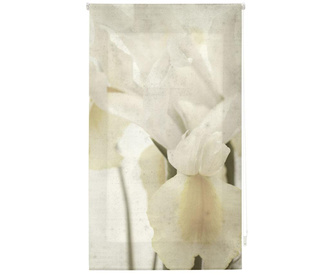 Fleur de Lis Roletta 100x180 cm