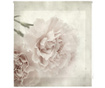 Sepia Bloom Roletta 160x180 cm