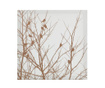 Картина Birds and Branches 30x30 см