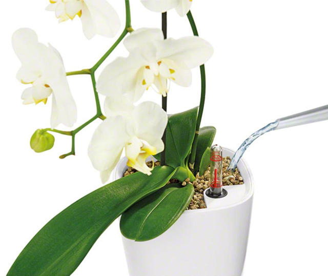 Set - cvetlični lonec z avto-namakalnim sistemom in držalo Deltini Table White S
