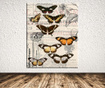 Slika Butterfly Signature 100x140 cm