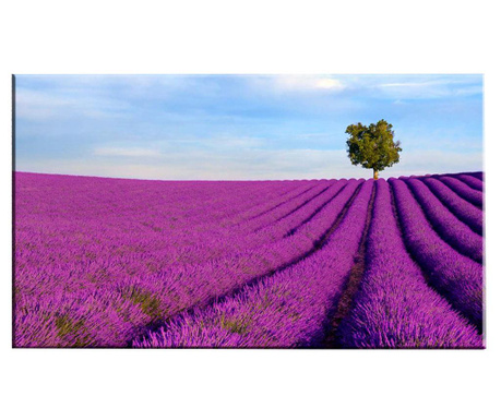 Lavender Field Kép 100x140 cm
