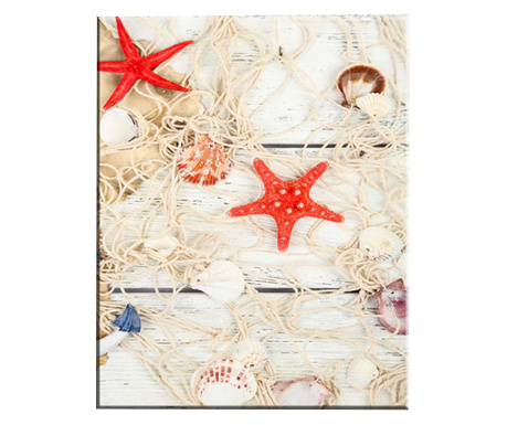 Картина Starfish 100x140 см