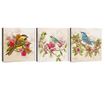 Set 3 slik Enchanted 30x30 cm
