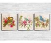 Set 3 slik Enchanted 30x30 cm