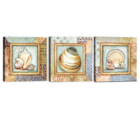 Set 3 slike Seashells