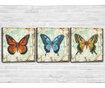 Set 3 slike Butterflies 30x30 cm