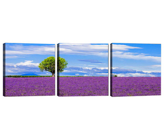 Zestaw 3 obrazów Lavender Field 30x30 cm