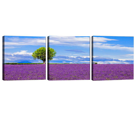Lavender Field 3 db Kép 30x30 cm