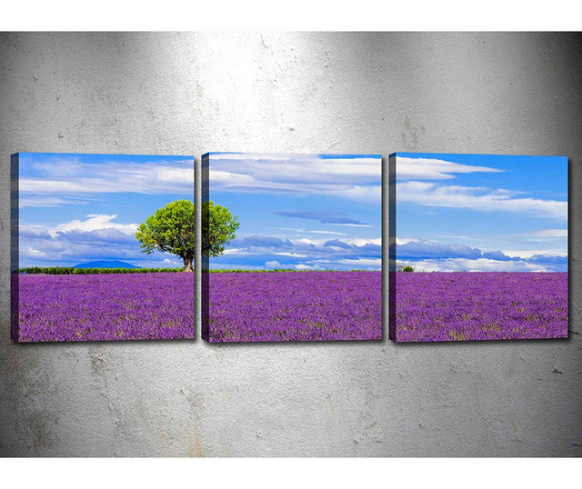 Zestaw 3 obrazów Lavender Field 30x30 cm
