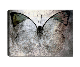 Neo Butterfly Kép 70x100 cm