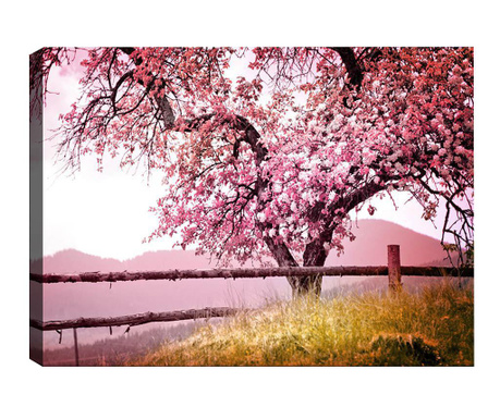 Blossoms 3D Kép 50x70  cm