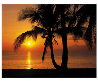 Fototapeta Palmy Beach Sunrise 254x368 cm