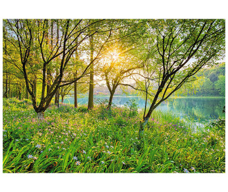 Spring Lake Fotótapéta 254x368 cm