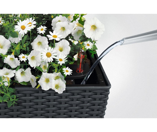 Set - cvetlično korito z avto-namakalnim sistemom in držalom Balconera White
