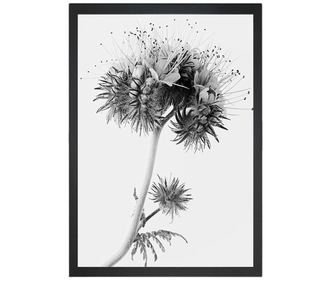 Slika Dusty Wild 24x29 cm