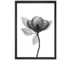 Obraz Harmony Flower 24x29 cm