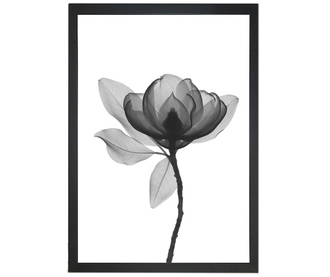 Πίνακας Harmony Flower 24x29 cm