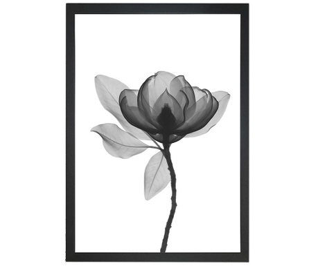 Slika Harmony Flower 24x29 cm