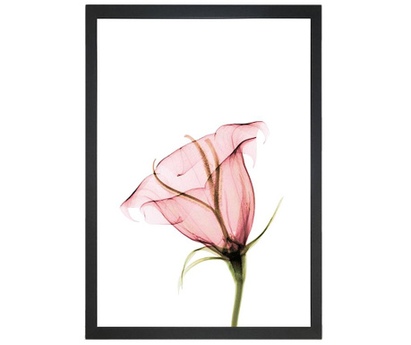 Obraz Misty Bloom 24x29 cm
