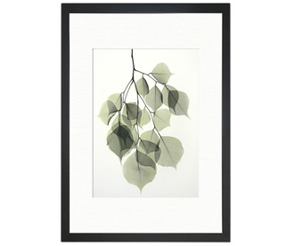 Obraz Tender Leaves 24x29 cm