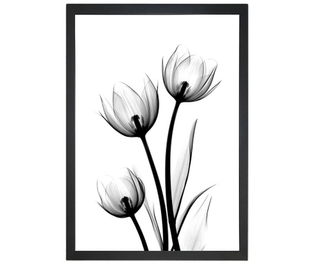 Scented Flowery Kép 24x29 cm
