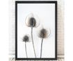 Slika Thistles 24x29 cm