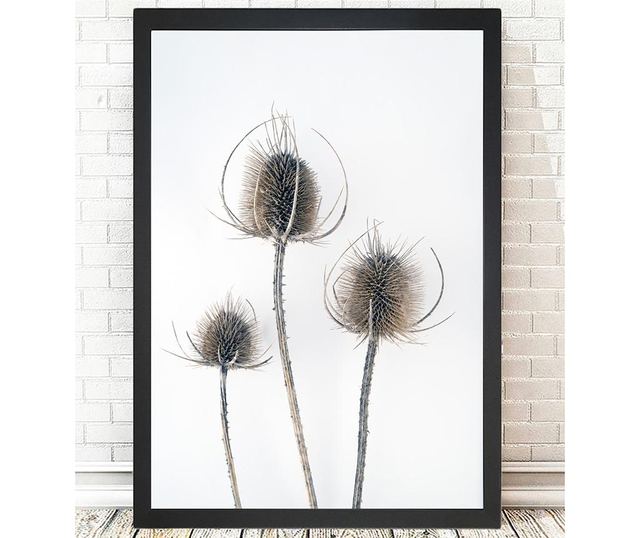 Slika Thistles 24x29 cm