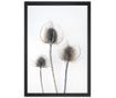 Slika Thistles 24x29 cm