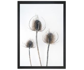 Slika Thistles 24x29 cm