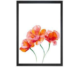 Regal Blossom Kép 24x29 cm