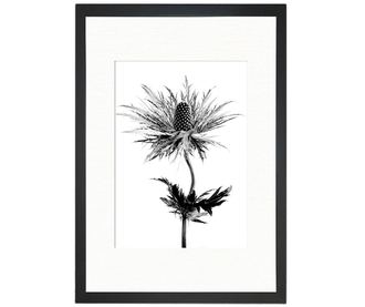 Slika Thistle Vibes 24x29 cm