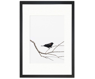 Картина Bird on the Branch 24x29 см