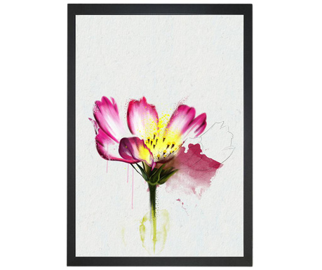 Floral Radiance Kép 24x29 cm