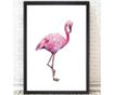 Jocelyn Flamingo Kép 24x29 cm