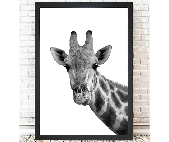 Slika Giraffe Portrait 24x29 cm