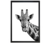 Slika Giraffe Portrait 24x29 cm