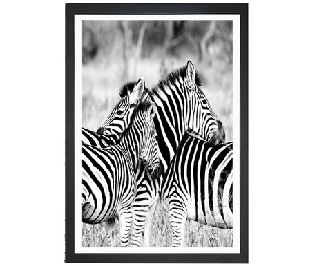 RESIGILAT Tablou Oyo Concept, Brighton Zebras, MDF imprimat, 24x29 cm
