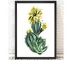 Slika Cactus Blossom 24x29 cm